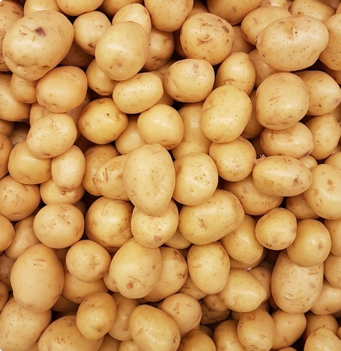 Eine Vielzahl von ungewaschenen, gelben Kartoffeln ist dicht gepackt und übereinander gestapelt. Die Kartoffeln haben eine unregelmäßige Form und sind leicht schmutzig, was auf ihre frische Ernte hinweist.