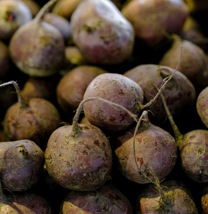 Ein Haufen frischer Knollen, wahrscheinlich Rüben, in verschiedenen Farben von lila bis dunkelviolett. Die Knollen sind erdig und haben teilweise noch Wurzeln. Die Ansicht vermittelt eine natürliche, unverarbeitete Frische der Gemüseernte.