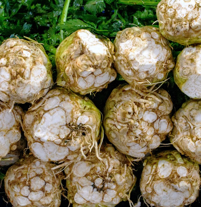 Eine Gruppe frischer Selleriewurzeln liegt auf grünem Blattwerk. Die Wurzeln sind rundlich, beige und unregelmäßig geformt mit sichtbaren Wurzeln. Sie sind übereinander gestapelt und bilden eine harmonische Anordnung.